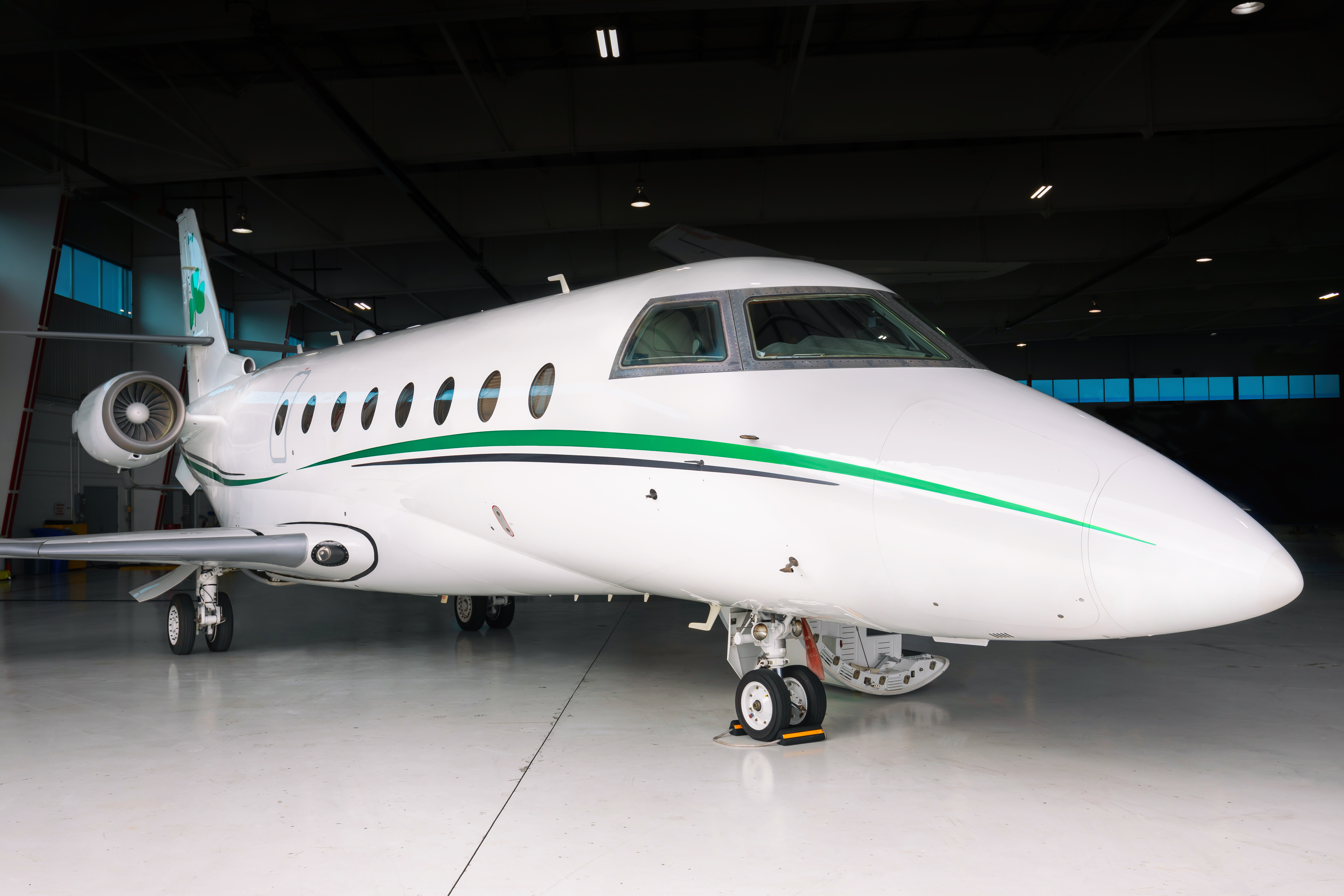 Image of tail C-FISO