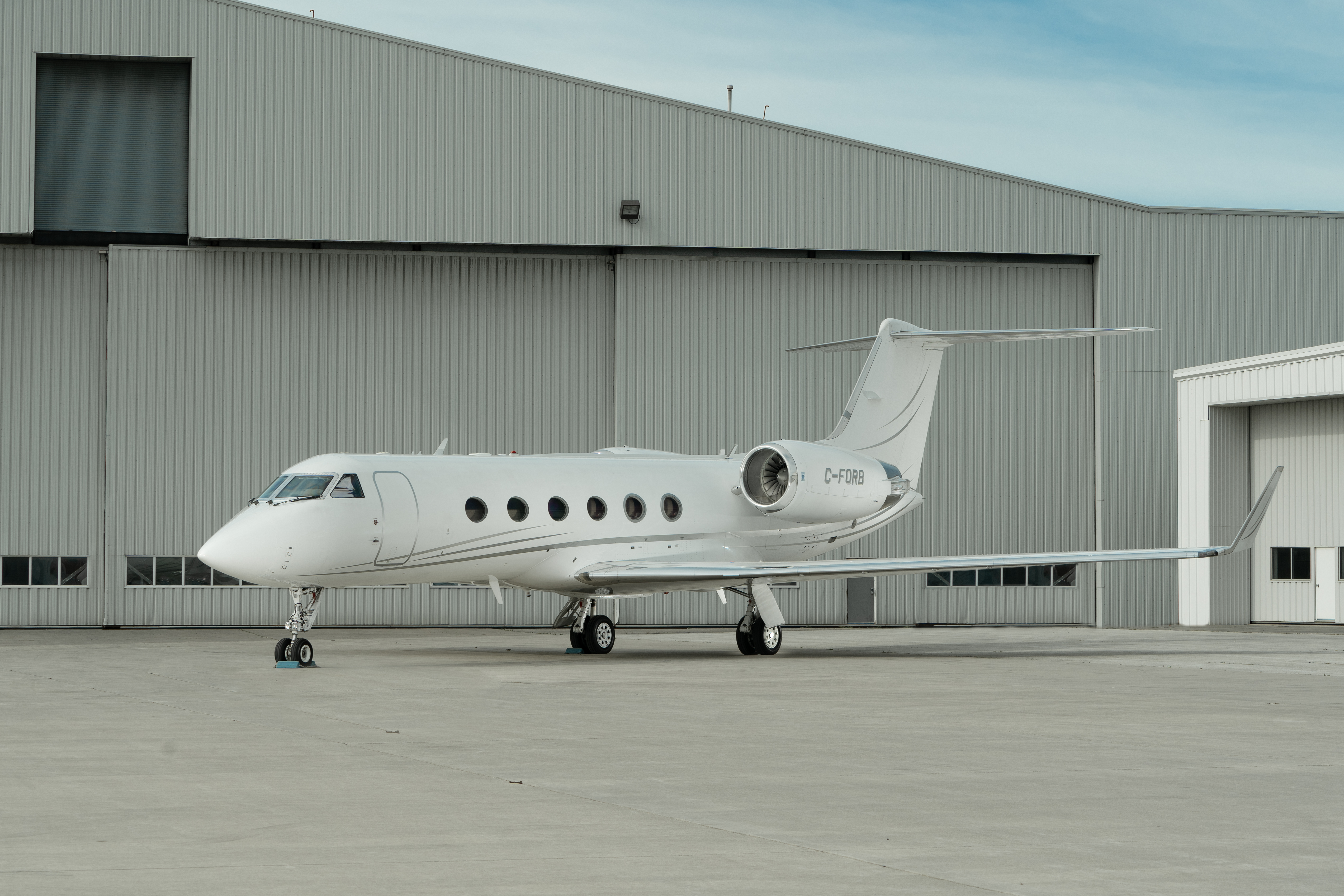 Image of tail C-FORB