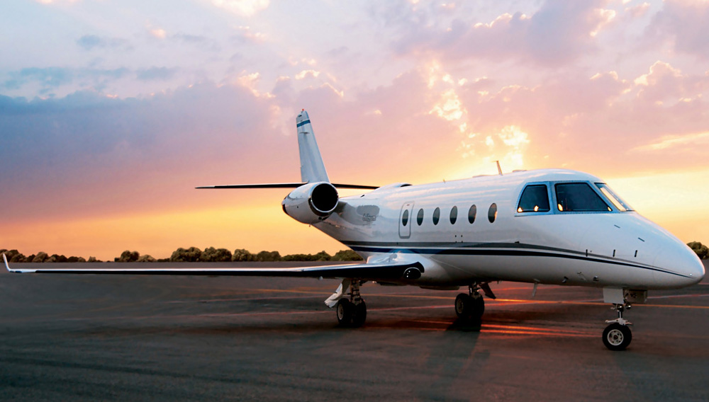 Image of tail C-FREE