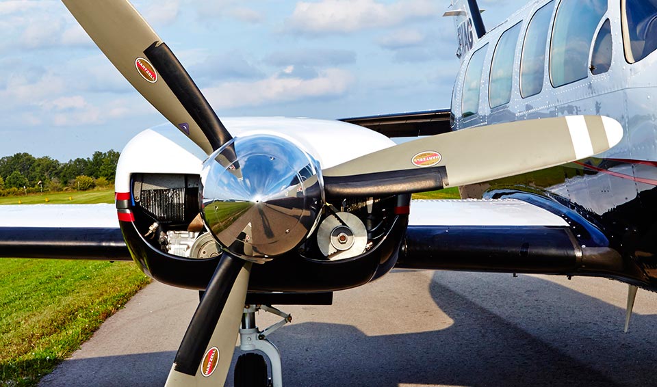 Image of tail C-GDBS