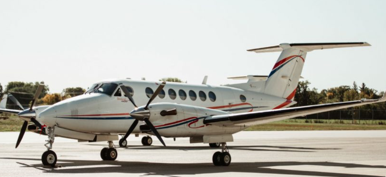 Image of tail C-GFAN