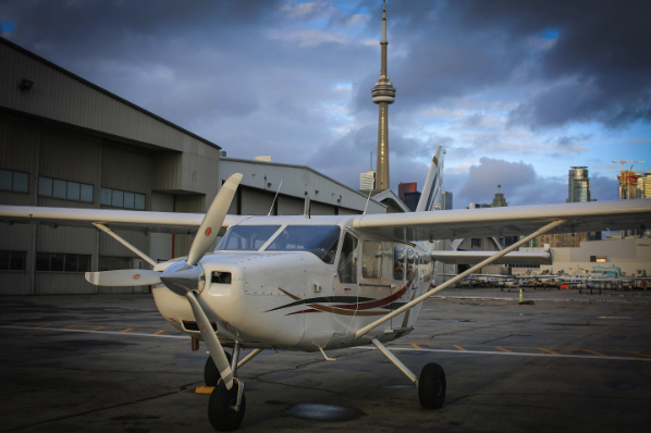 Image of tail C-GGTA