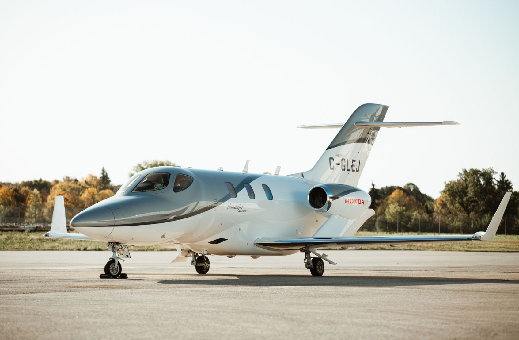 Image of tail C-GLEG