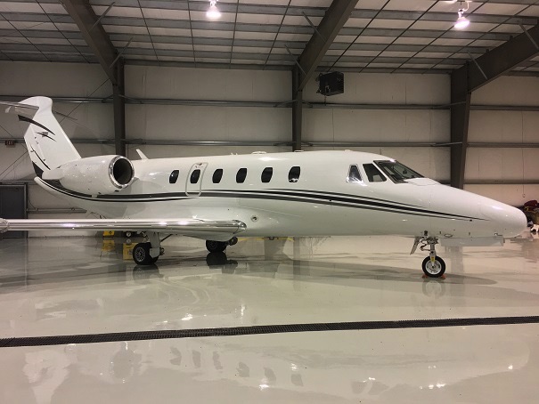 Image of tail C-GOSI