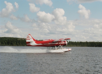Image of tail C-GQDU