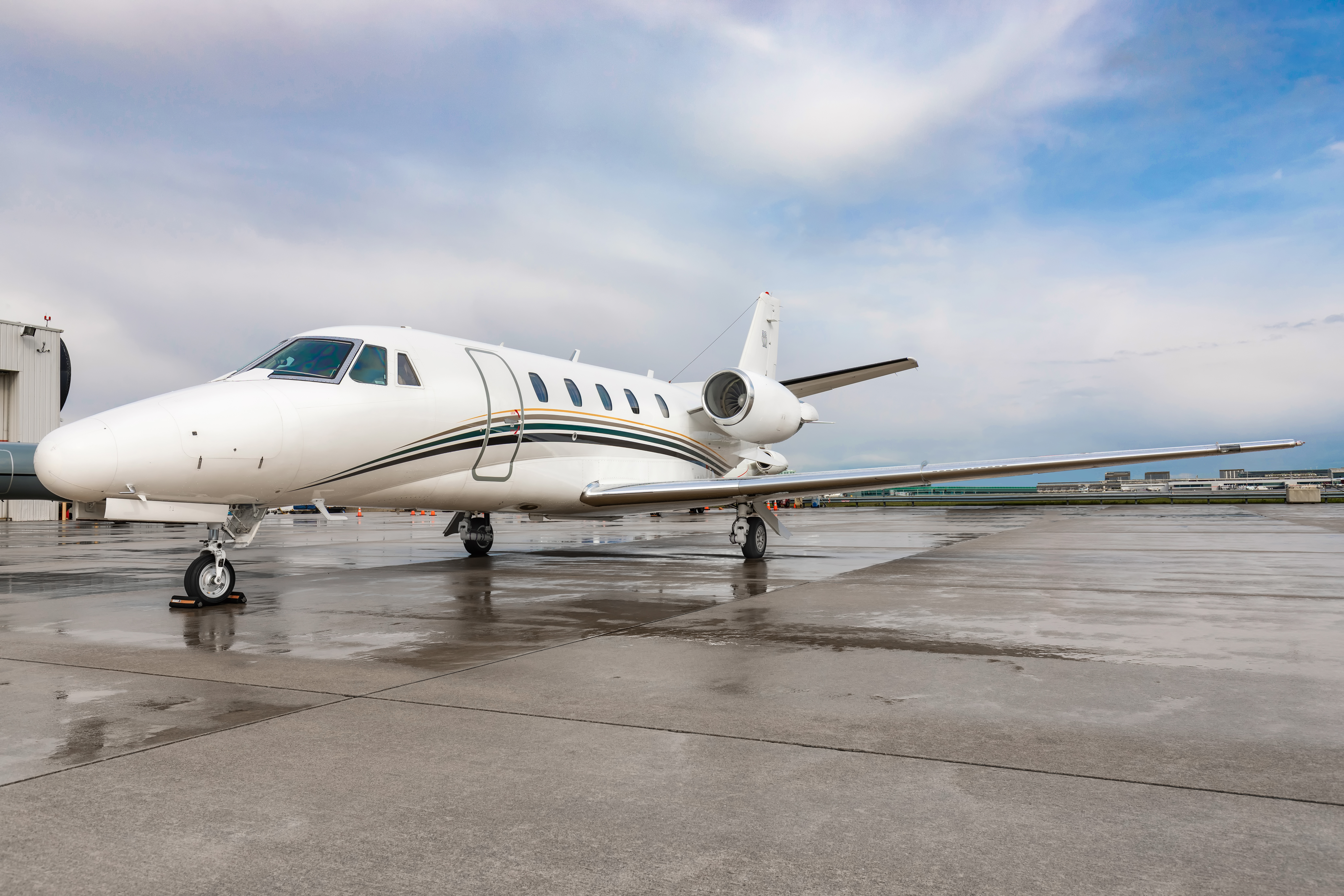 Image of tail C-GRCC