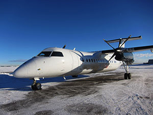 Image of tail C-GRUR