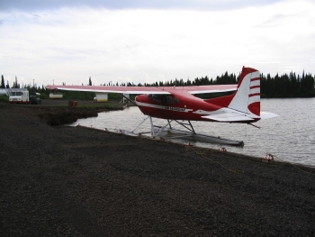 Image of tail C-GUJQ