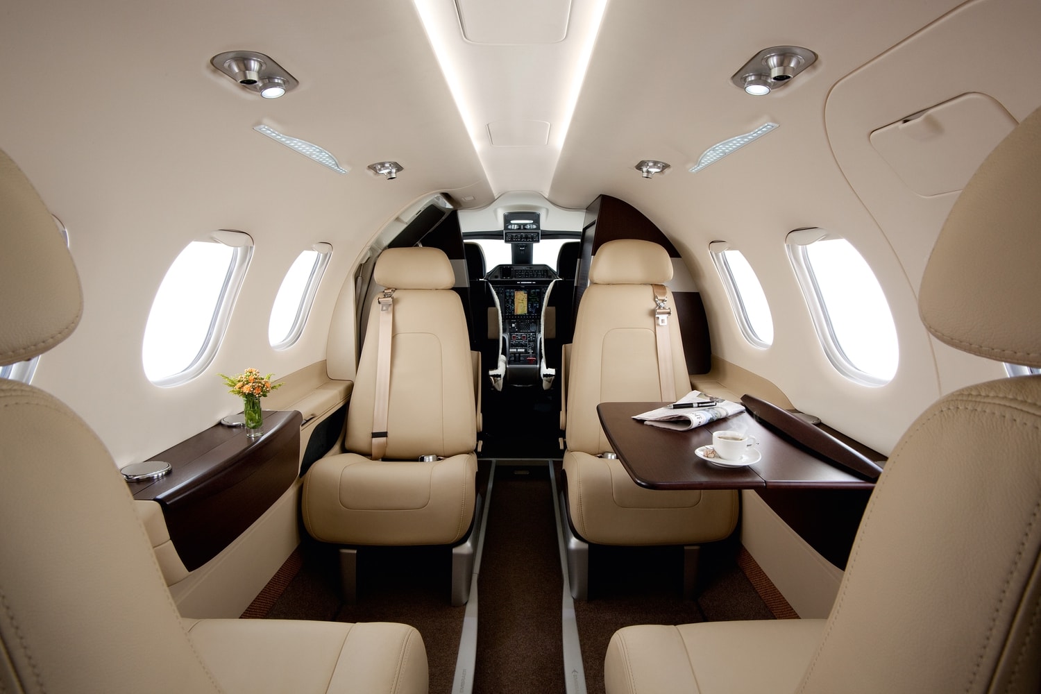 Aircraft Image for C-GYMP