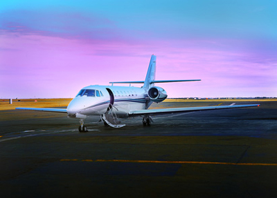 Image of tail CGSOE
