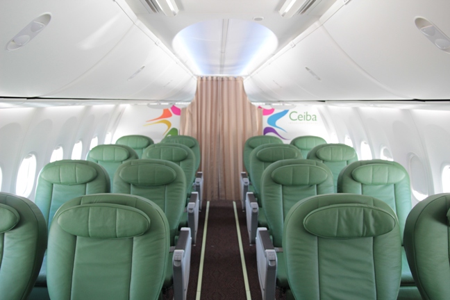 Aircraft Image for CS-FAF