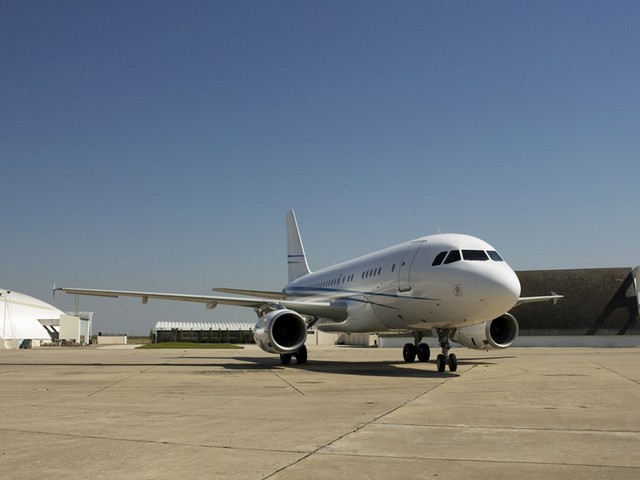 Image of tail CS-TFU
