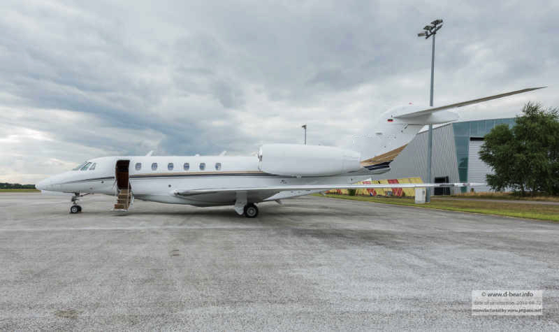 Image of tail D-BEAR