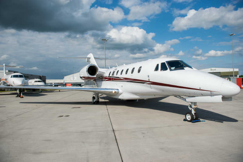 Image of tail D-BEEP
