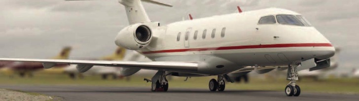 Image of tail D-BUBI