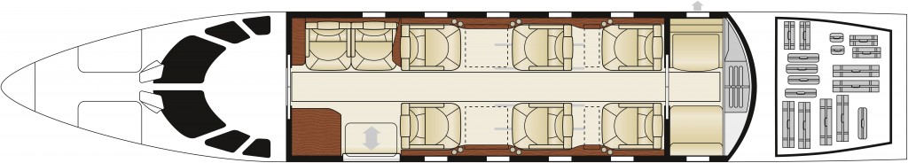 Aircraft Image for D-CAWM