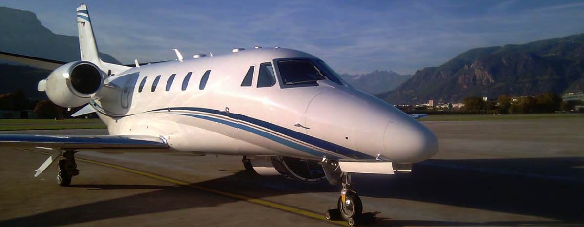Image of tail D-CEFO
