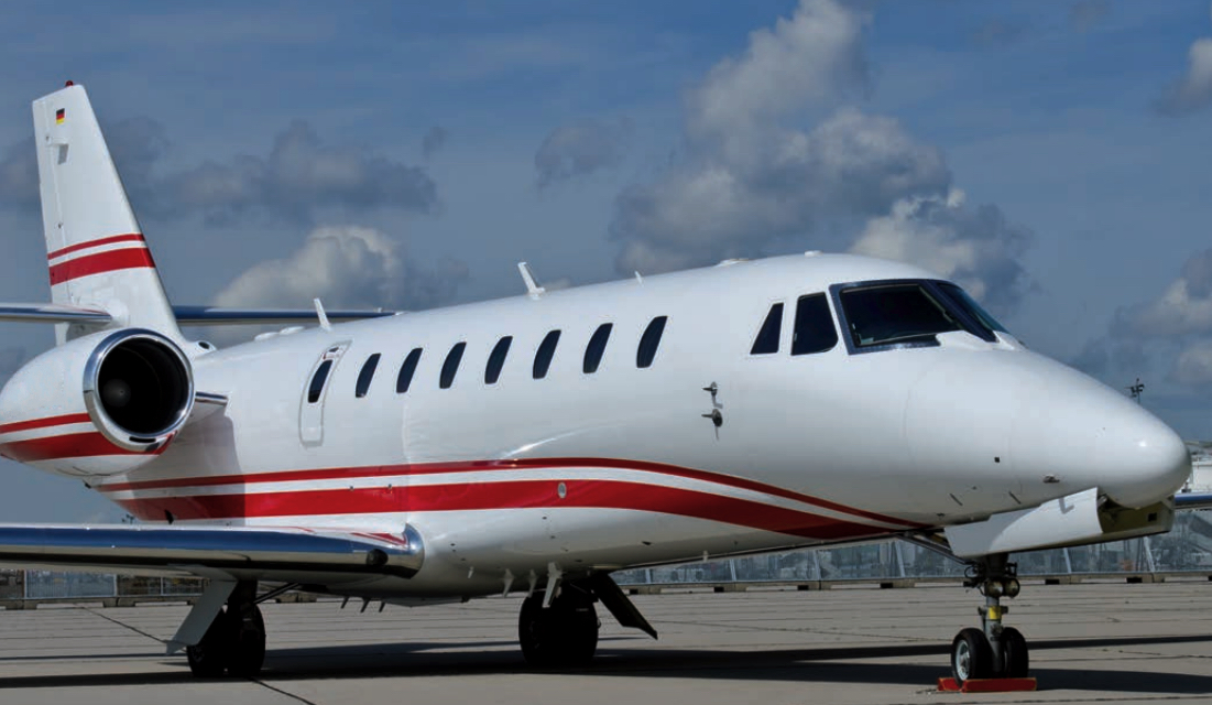 Image of tail D-CEIS