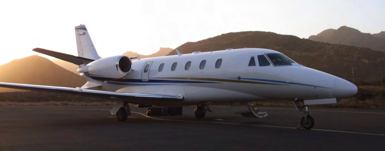 Image of tail D-CFLY