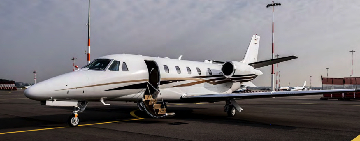 Image of tail D-CGAA