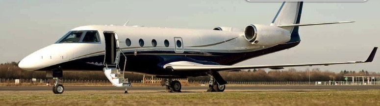 Image of tail D-CGEP