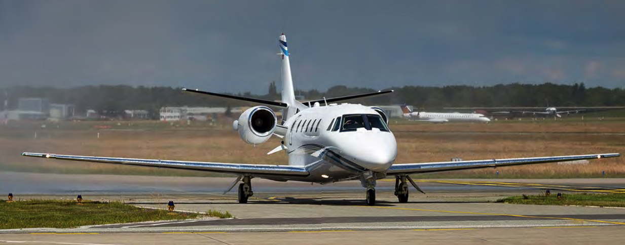 Image of tail D-CHIC