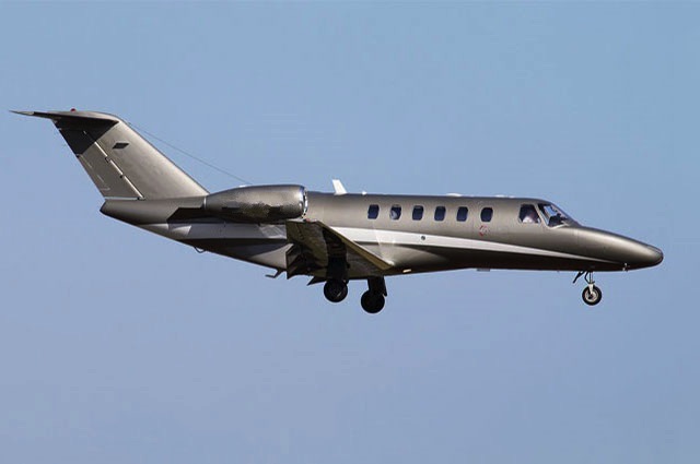 Image of tail D-CITA