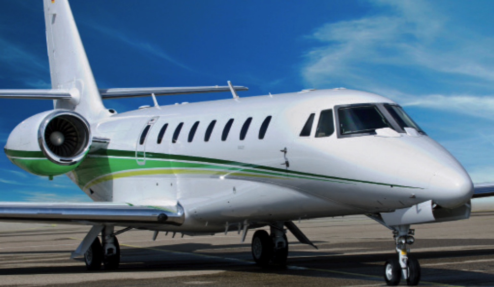 Image of tail D-CMDH