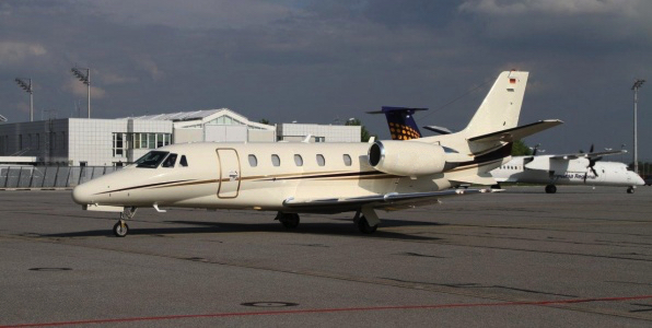 Image of tail D-COBI