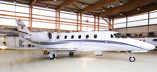 Image of tail D-CSCB