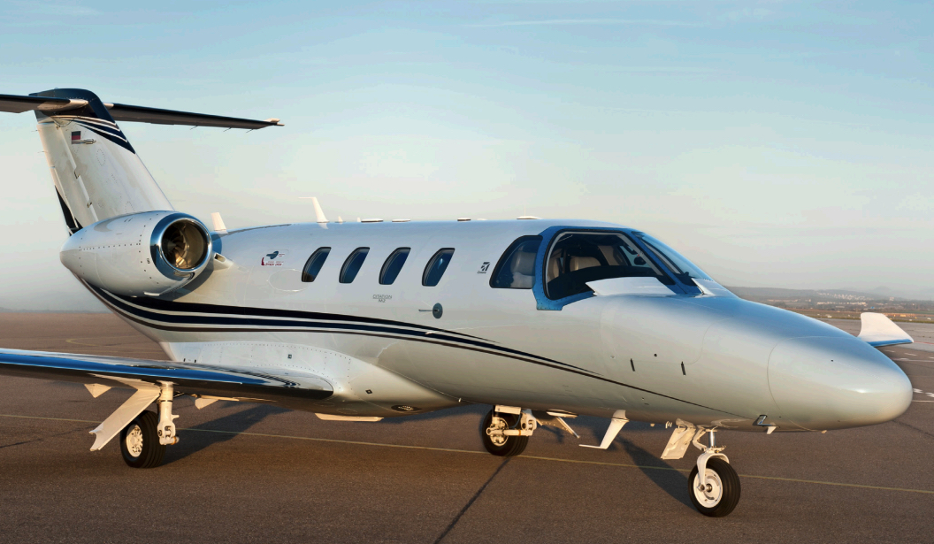 Image of tail D-IEFD