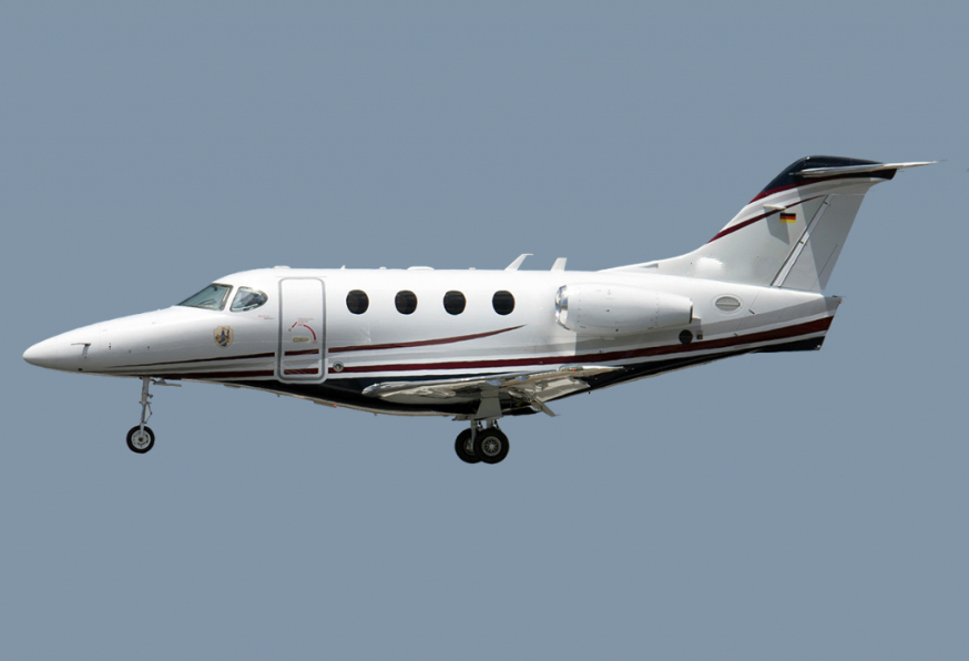 Image of tail D-IEMO