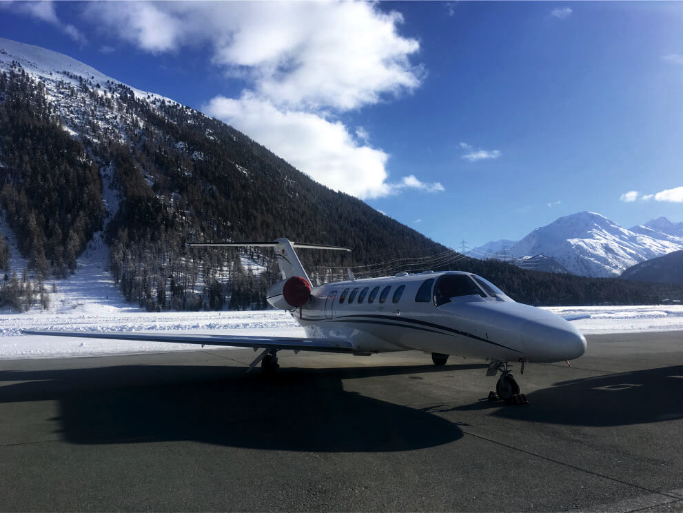 Image of tail D-IGWT