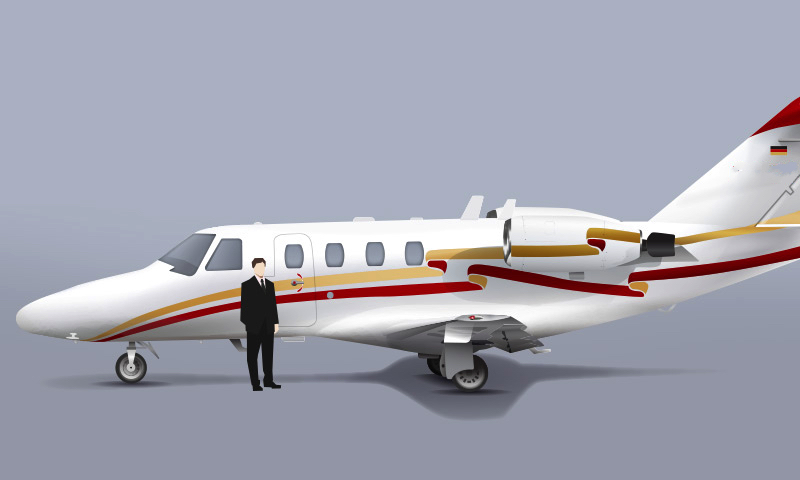 Image of tail D-IVPD
