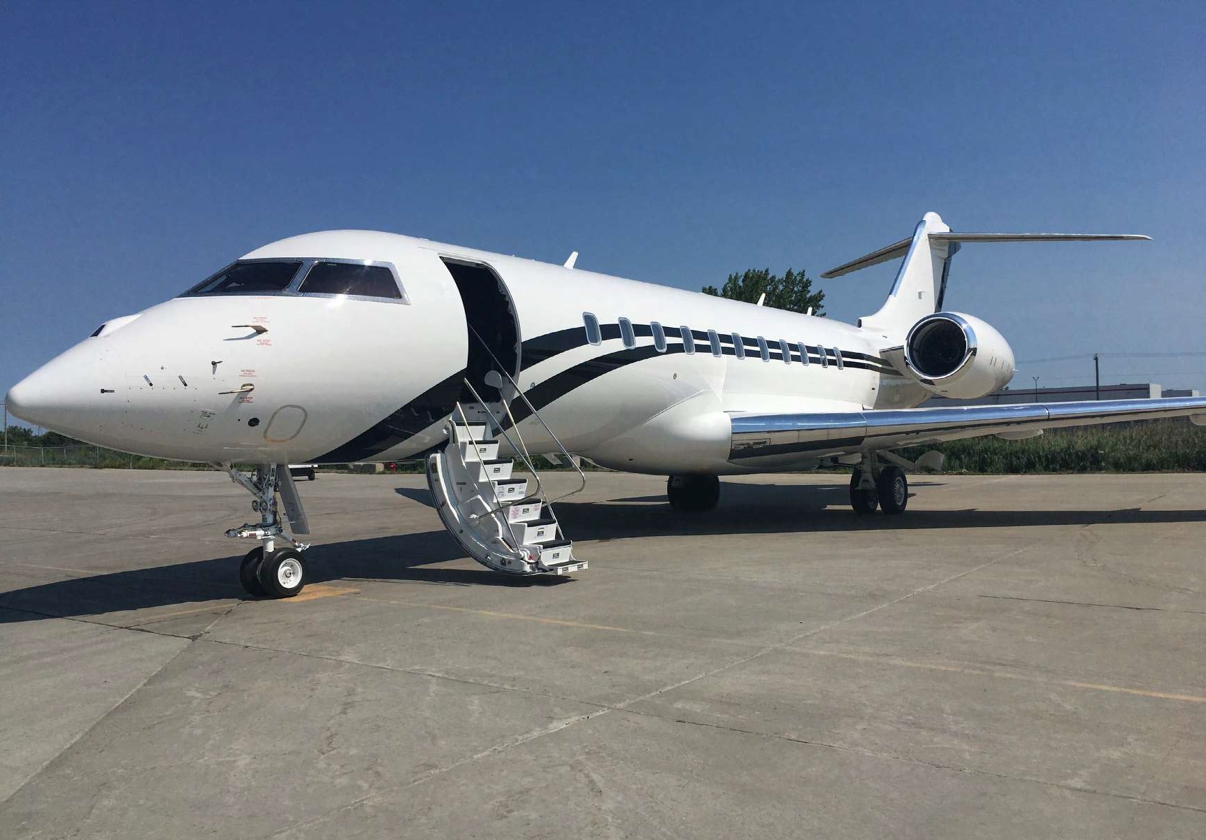 Image of tail EC-DOU