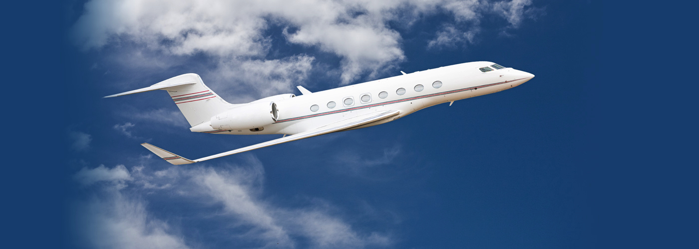 Image of tail EI-LSN