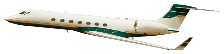 Image of tail EI-LSY