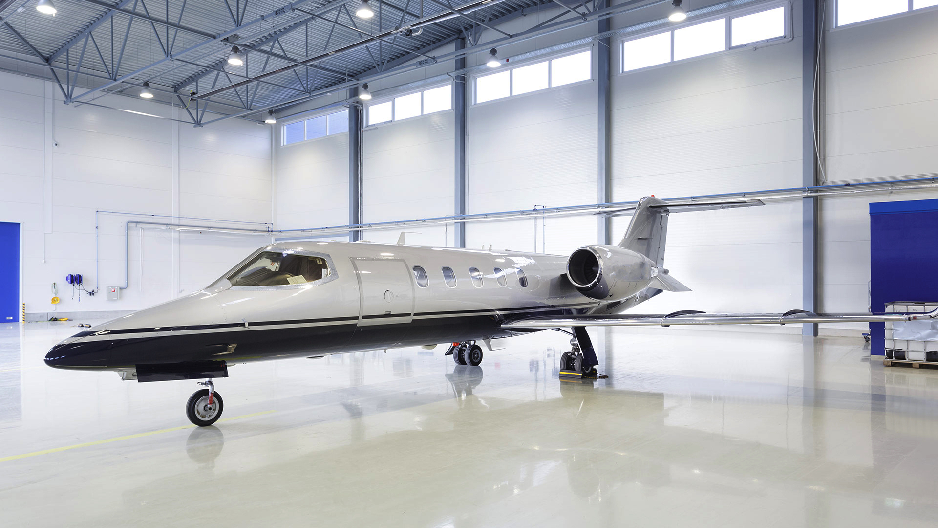 Image of tail ES-PVH