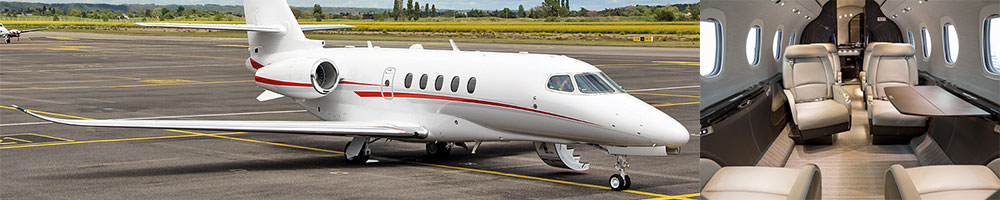 Image of tail F-HSAO