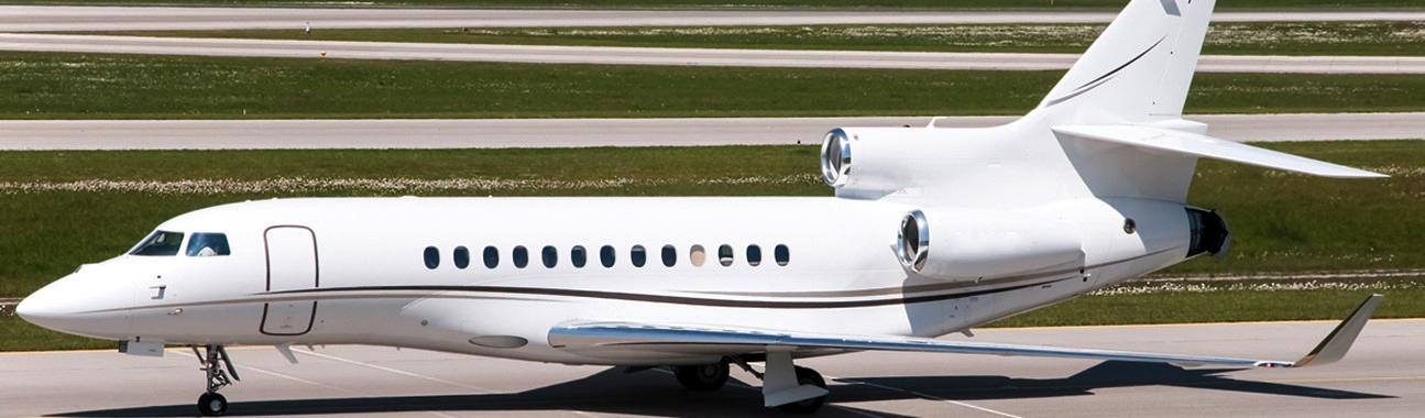 Image of tail G-MATO