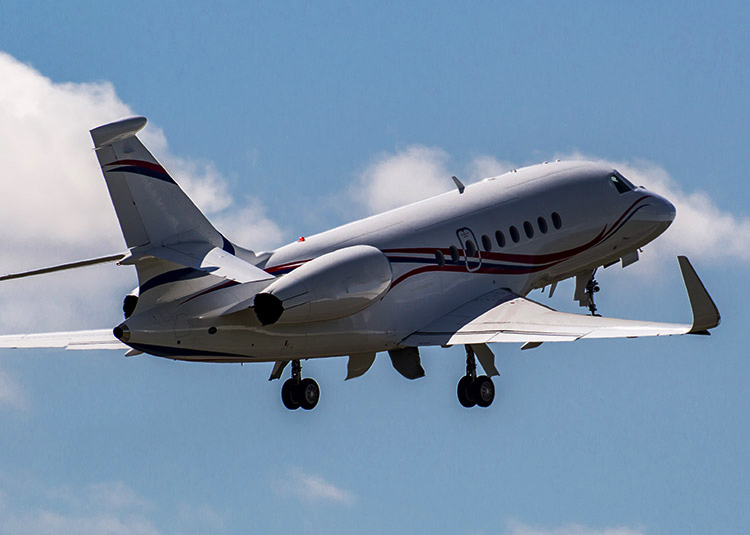 Image of tail G-PULA