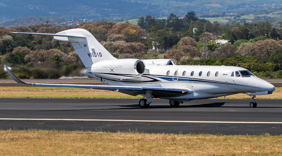 Image of tail HI1010