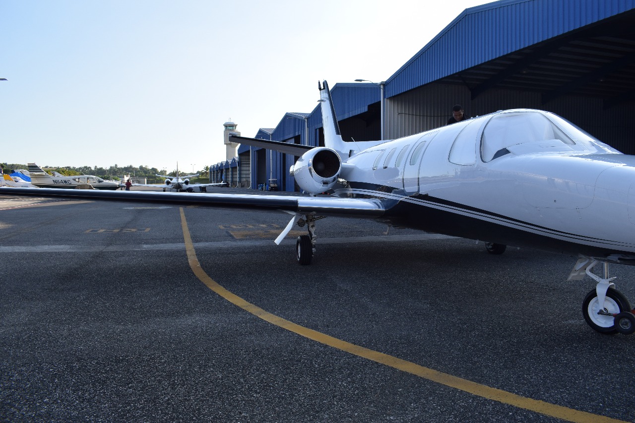 Image of tail HI967