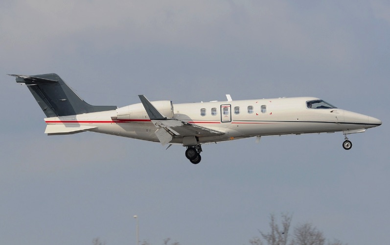 Image of tail I-GURU