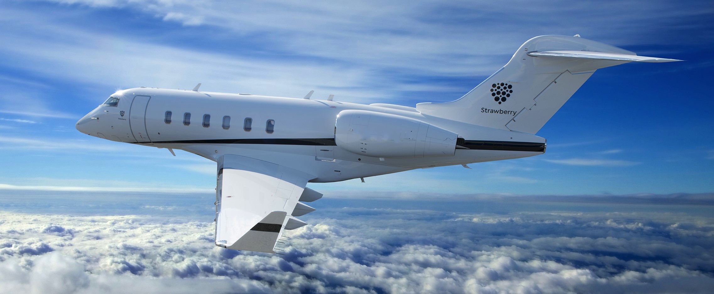 Image of tail LN-STB
