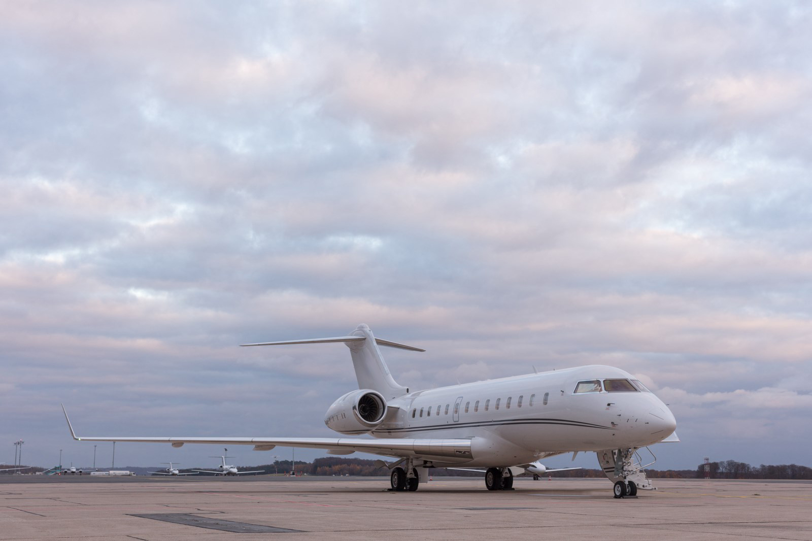 Image of tail LX-MLO