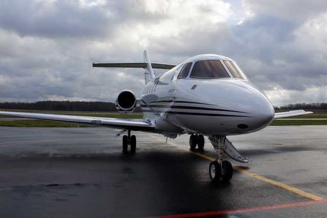 Image of tail LY-LTA