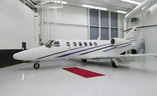 Image of tail LZ-FNB