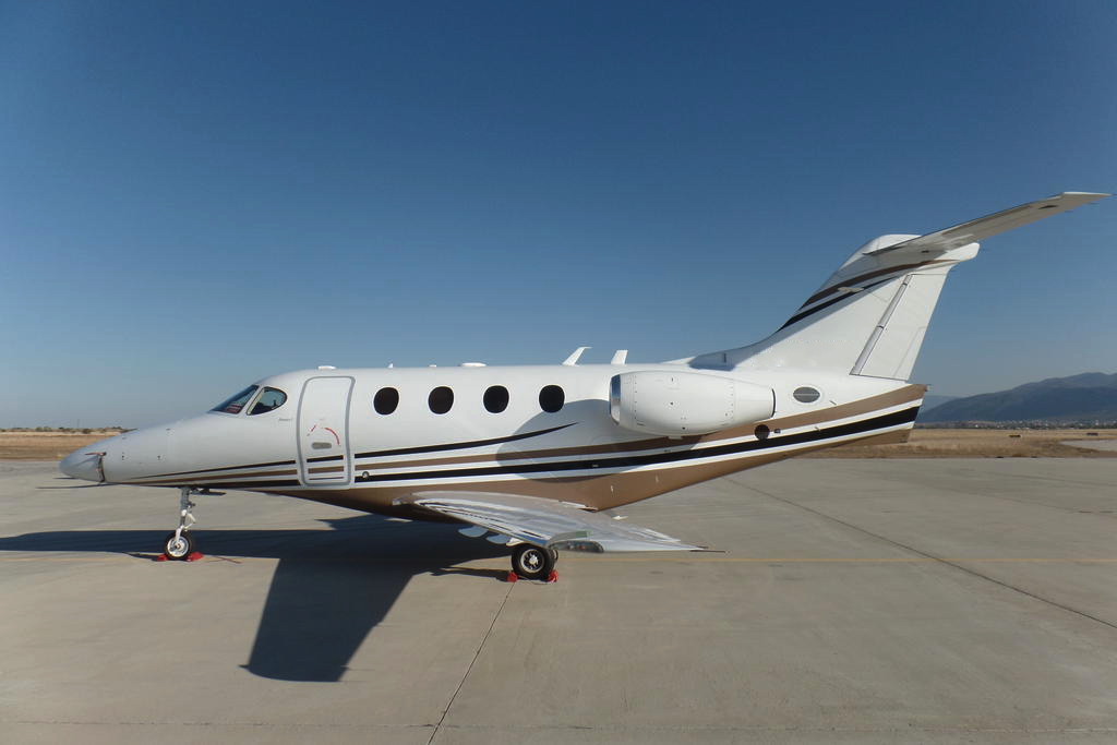 Image of tail LZ-PDM