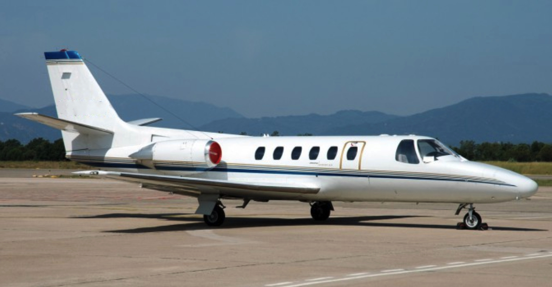Image of tail M-BULL